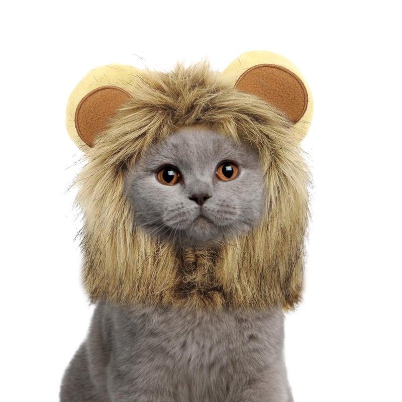 NAMSAN Lion Mane for Cat Small Dog, Halloween Cat Costume Lion Mane, Wig Lion King Hat Cosplay, Kitten Outfit for Halloween Holiday Party Activity - Image 1